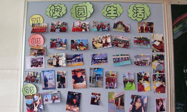 班级文化 (14) 班级文化 (14)